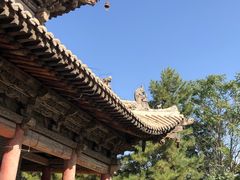 -张掖大佛寺景区