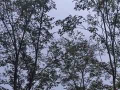 -花开海上生态园
