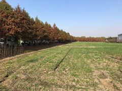 -大莲湖农家乐(青西郊野公园店)