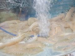 -鑫渔港海鲜本地菜·山海关浑锅(东戴河店)