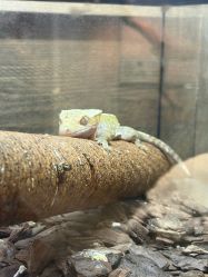 -Zoolung Zoolung动物主题公园(海信广场店)