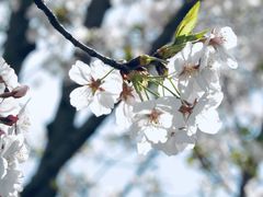 -龙美术馆(西岸馆)