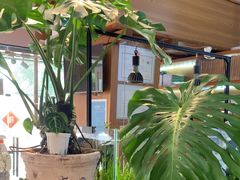 -可蒙动物医院·猫科·骨科中心(首义路店)