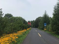 -横道河子东北虎林园