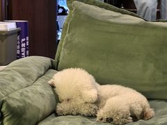 -默迹咖啡馆