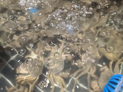 -海玥荟海鲜姿造自助餐厅(欧罗巴广场店)