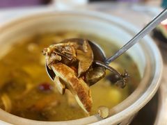 菌火锅-山菌美食苑(振兴路店)