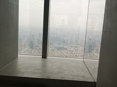 -上海柏悦酒店