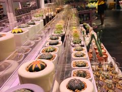 -KKV(深圳宏发大仟里店)