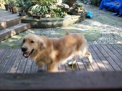 -三圣花乡旅游区