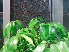 -LIN COFFEE CO(龙珠达店)