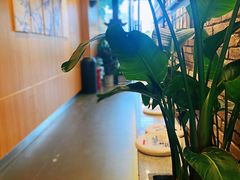 -茶颜悦色(五矿live店)