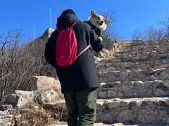 -龙泉峪长城