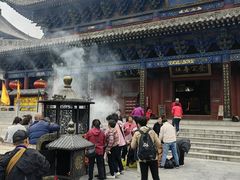 -大槐树寻根祭祖园