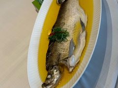 -巴音浩日娲酒楼(双林东路店)