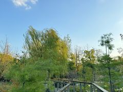 -昆山城市生态森林公园