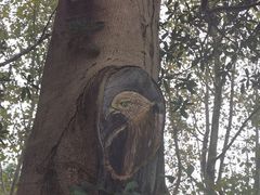 -白塘生态植物园