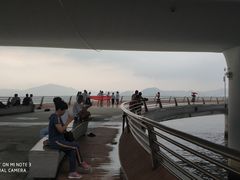 -演武大桥观景平台