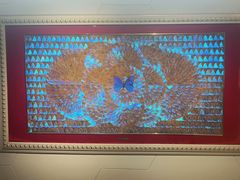 -上海昆虫博物馆