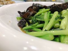 云耳烧菜心-良师门滨海人家·海鲜·家常菜(滨海城店)