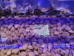 -盛江山自助料理(奥莱锦辉购物广场店)