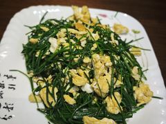 -靖远尕六美味羊羔肉