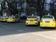 -山东水饺(南坪新街店)