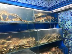 水产区-蚝专家(北滘店)