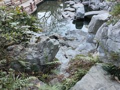 -南京市民俗博物馆(甘熙宅第)