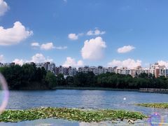 -新江湾城公园