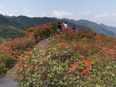 -大围山国家森林公园