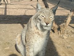 -石家庄市动物园