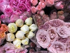 -循礼门鲜花花市(武汉循礼门店)