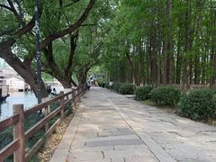 -乌镇东栅景区
