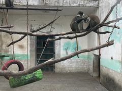 -无锡动物园·太湖欢乐园