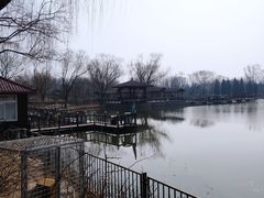 -古塔公园