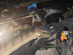 -陕西自然博物馆