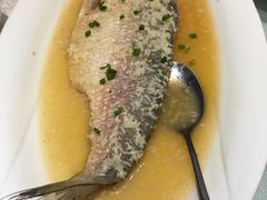 池鱼-新日月育才大酒店-中餐厅(环城北路店)