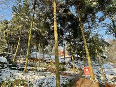 -青城山