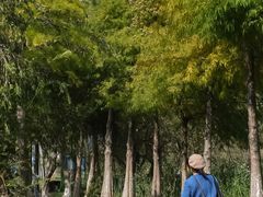 -大理洱源西湖景区