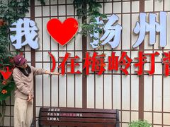 -打酱油·非遗淮扬菜(瘦西湖梅岭老店)
