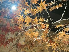 -城墙拐拐火锅(三峡广场黑金冠店)