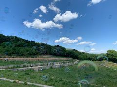 -妙峰山风景名胜区