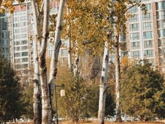 -渭滨公园