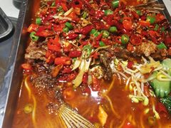 -哈老太太(联盟路店)