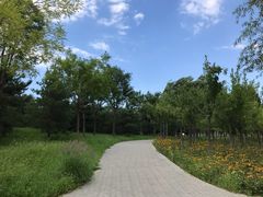-东郊湿地公园
