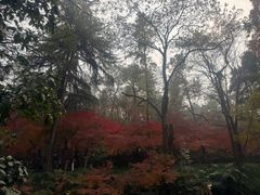 -灵顺寺