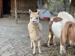 -武汉紫薇都市田园