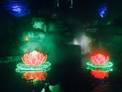 -秀丽东方
