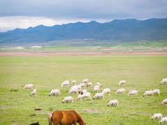-祁连山草原
